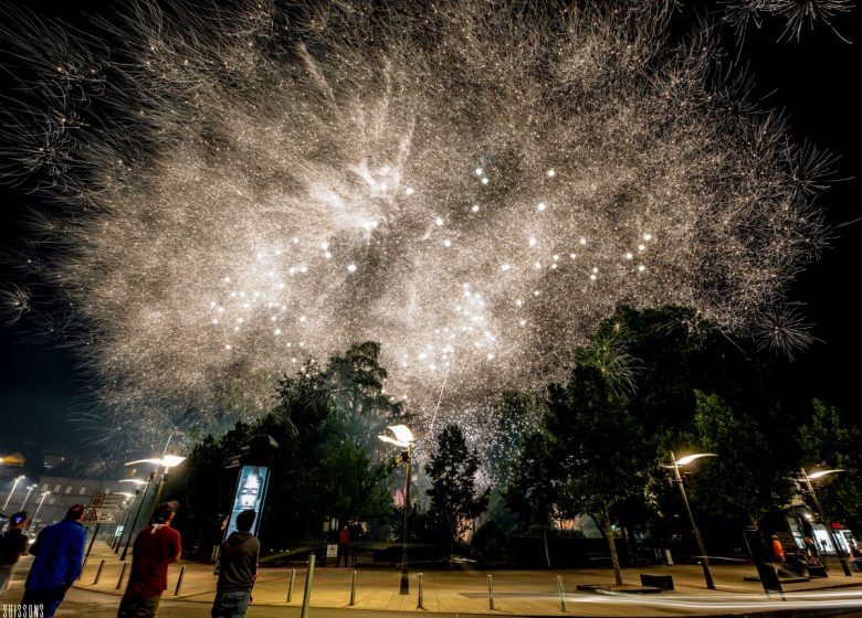 Spectacle pyrotechnique La Machine