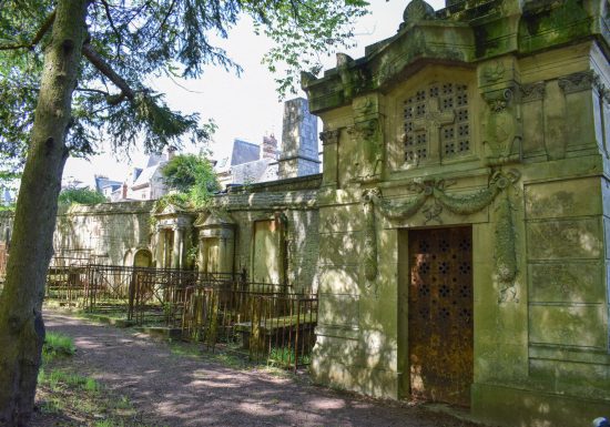 Balade botanique au cimetière des 4 Nations | RDV Découverte Le 7 mai 2025