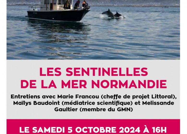 Découvrez les « Sentinelles de la Mer Normandie », la Brigade Phoque et la platefo