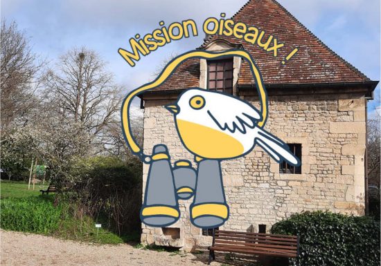 Mission oiseaux